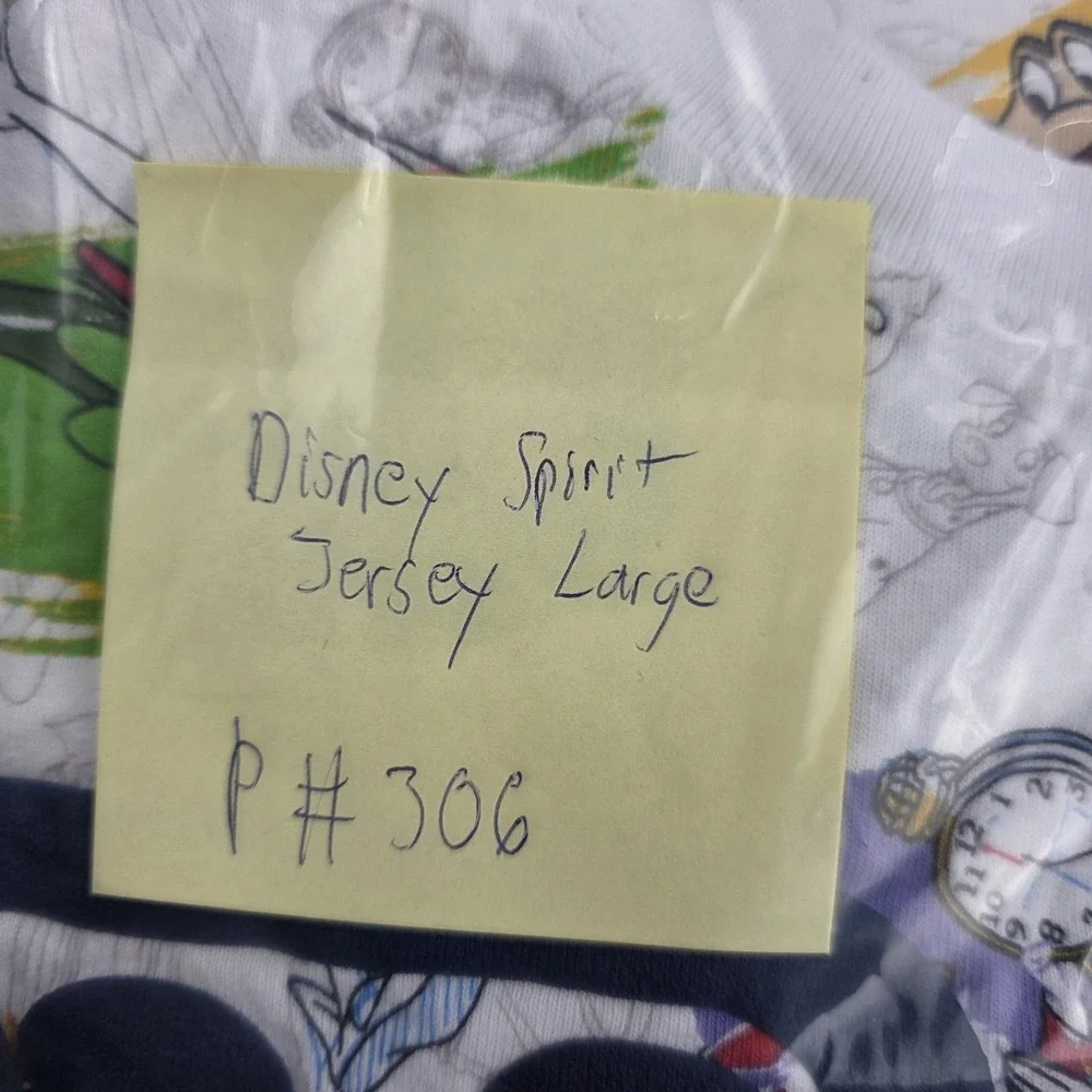 Disney Walt Disney World Shirt Womens Large Multicolor Character Spirit Jersey